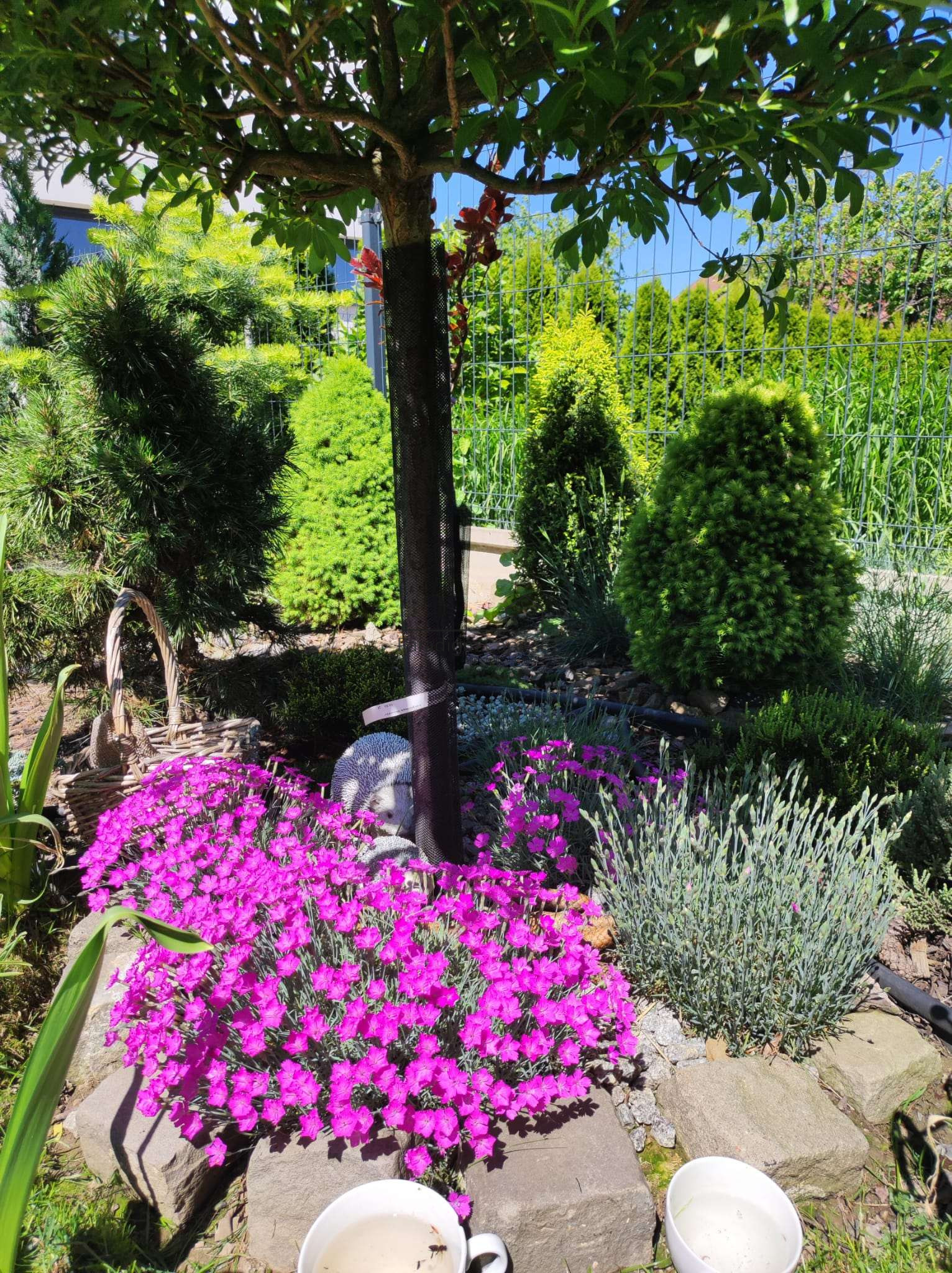 mieszkania - 97,23 m² - Bielsko-Biała