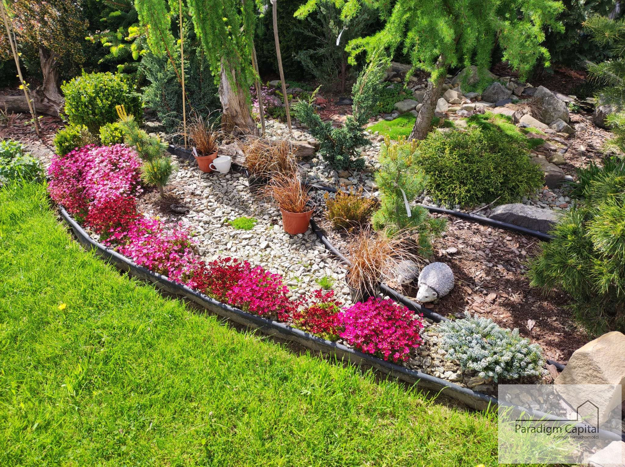 mieszkania - 97.23 m² - Bielsko-Biała